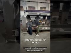 Test en usine en direct : démonstration des performances de la machine à treillis de gabions à des acheteurs indiens