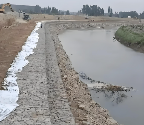 Derniers blogs de l'entreprise sur Gabion Mesh Machinery Empowering Green Infrastructure and Eco-Restoration Projects